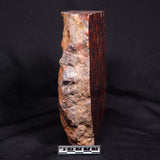 CONGLOMERATE HEMATITE AND JASPER, Australia YSC083