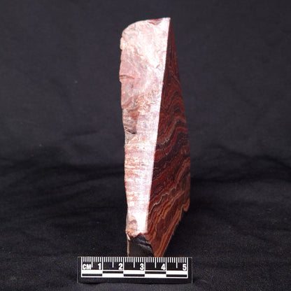 SNAKESKIN JASPER, Australia YSC086