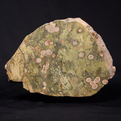 RHYOLITE (RAINFOREST JASPER), Australia YSC088