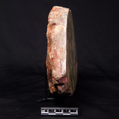 RHYOLITE (RAINFOREST JASPER), Australia YSC088