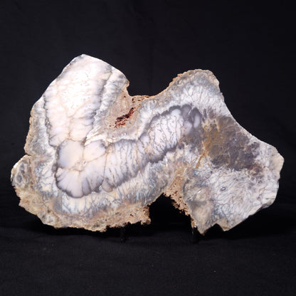 DENDRITIC OPALITE (MERLINITE), Australia YSC090