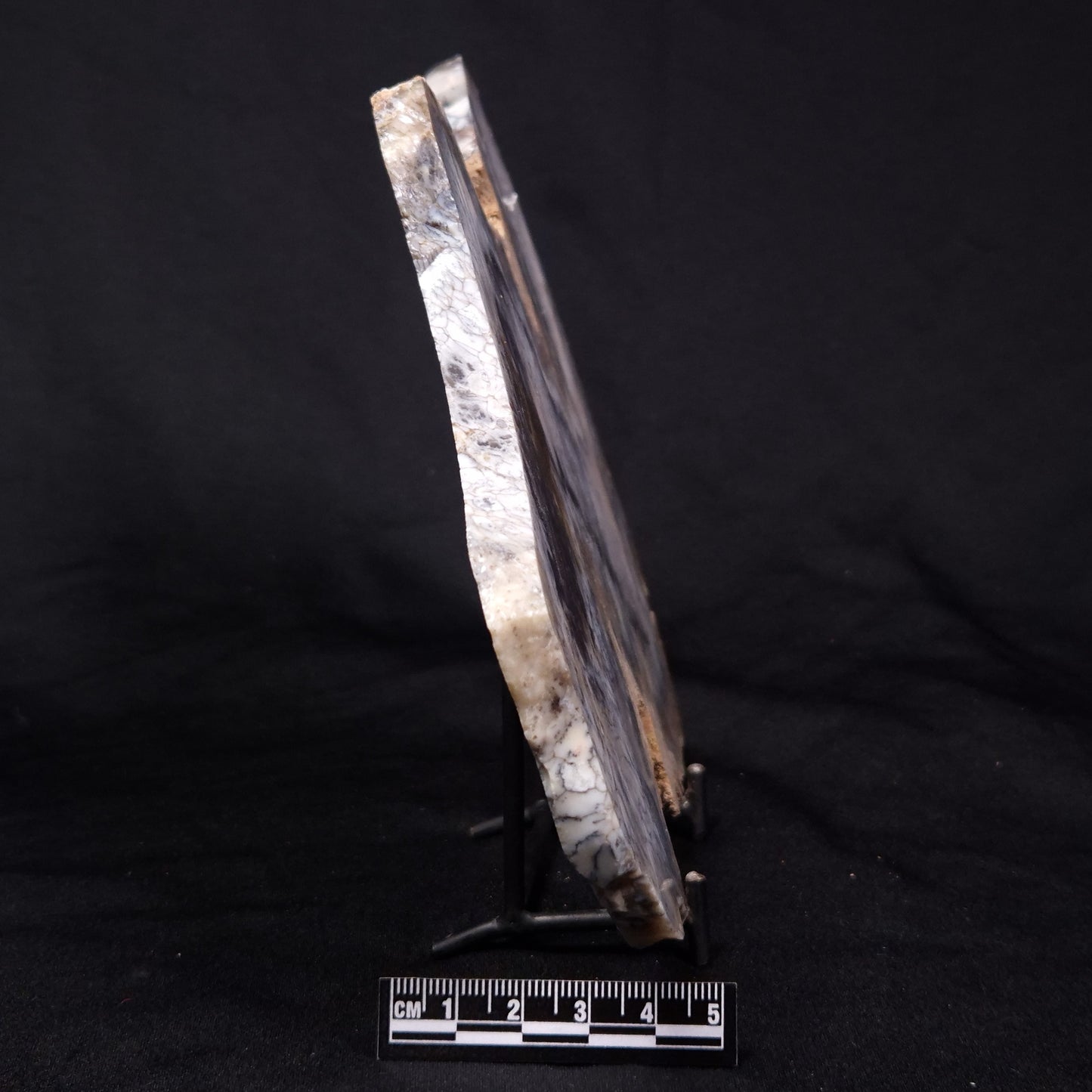 DENDRITIC OPALITE (MERLINITE), Australia YSC090