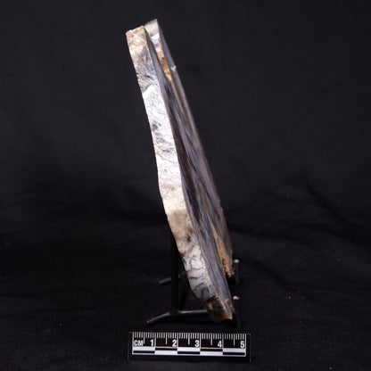 DENDRITIC OPALITE (MERLINITE), Australia YSC090
