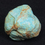 TURQUOISE, Australia XTQ011