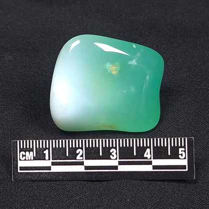 CHRYSOPRASE TUMBLE, Western Australia YCT010