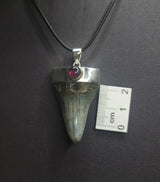 SHARK TOOTH & GARNET PENDANT set in STERLING SILVER 3SSSTP1