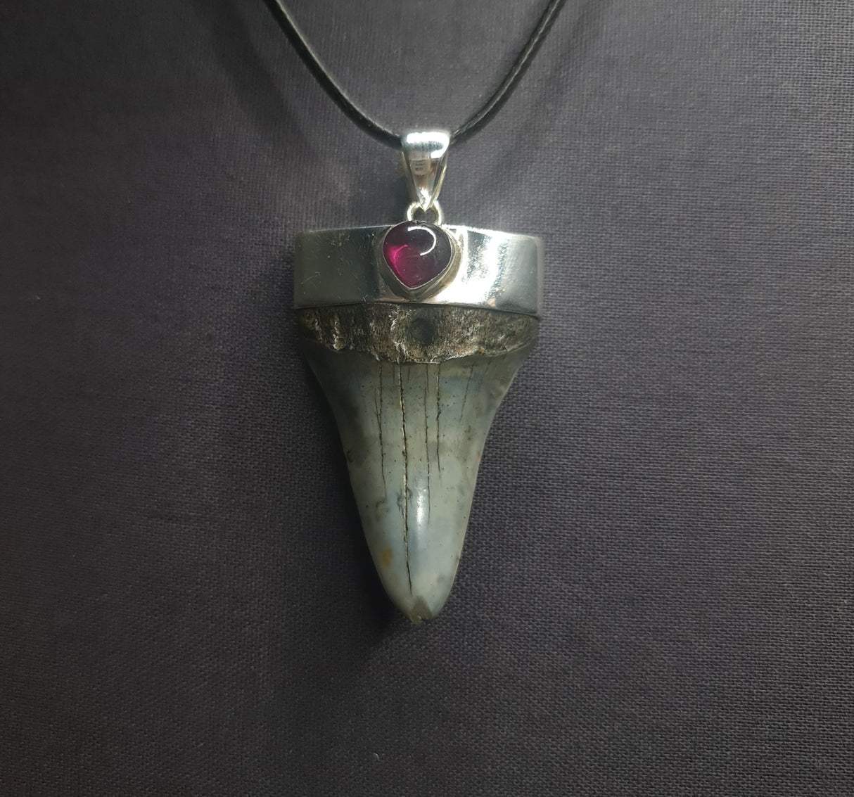 SHARK TOOTH & GARNET PENDANT set in STERLING SILVER 3SSSTP1