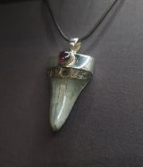 SHARK TOOTH & GARNET PENDANT set in STERLING SILVER 3SSSTP1