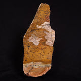 STROMATOLITE MICROBIAL MAT, Strelley Pool Formation, Archean, Australia ZSP016