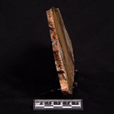 STROMATOLITE MICROBIAL MAT, Strelley Pool Formation, Archean, Australia ZSP017