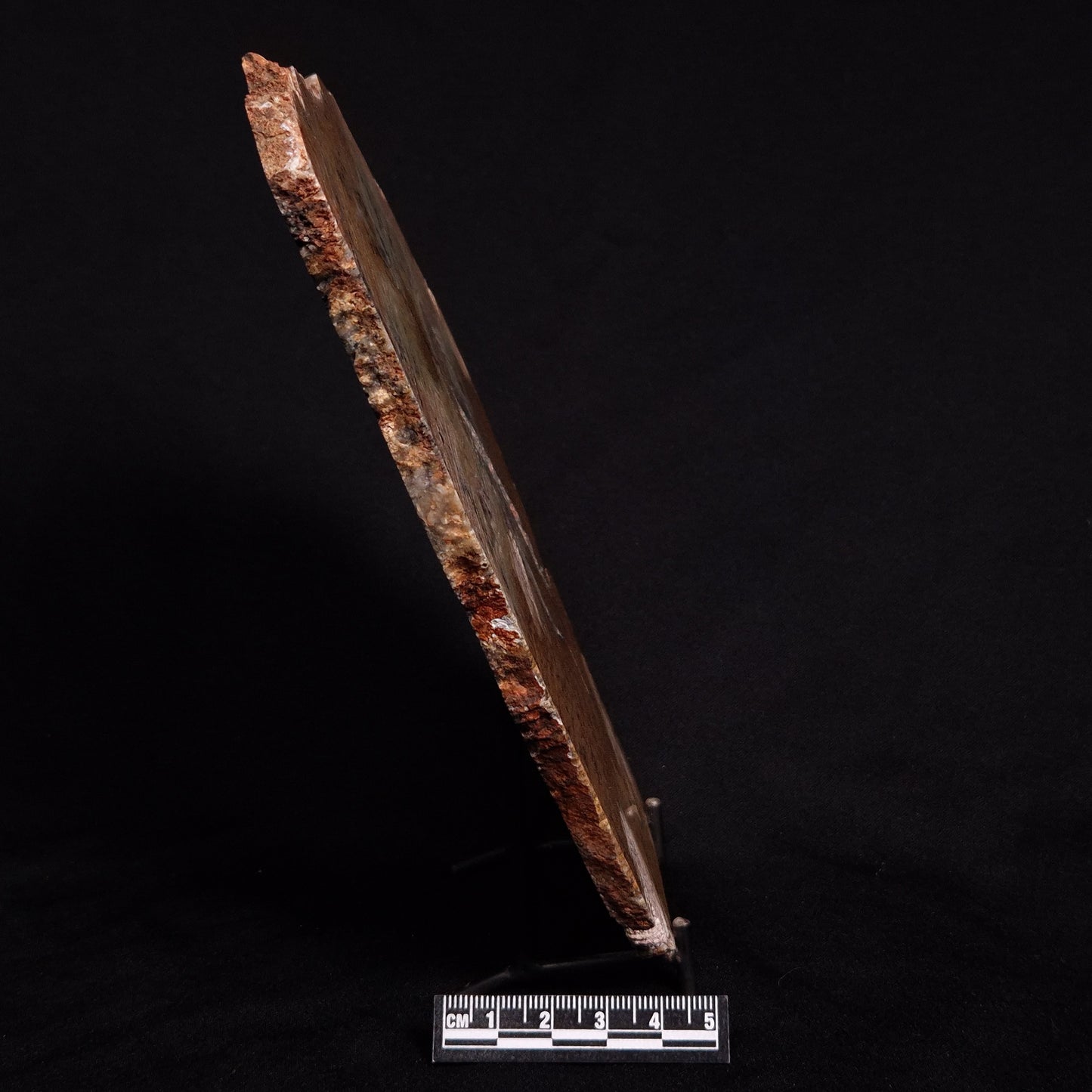 STROMATOLITE MICROBIAL MAT, Strelley Pool Formation, Archean, Australia ZSP018