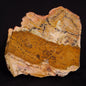 STROMATOLITE MICROBIAL MAT, Strelley Pool Formation, Archean, Australia ZSP019