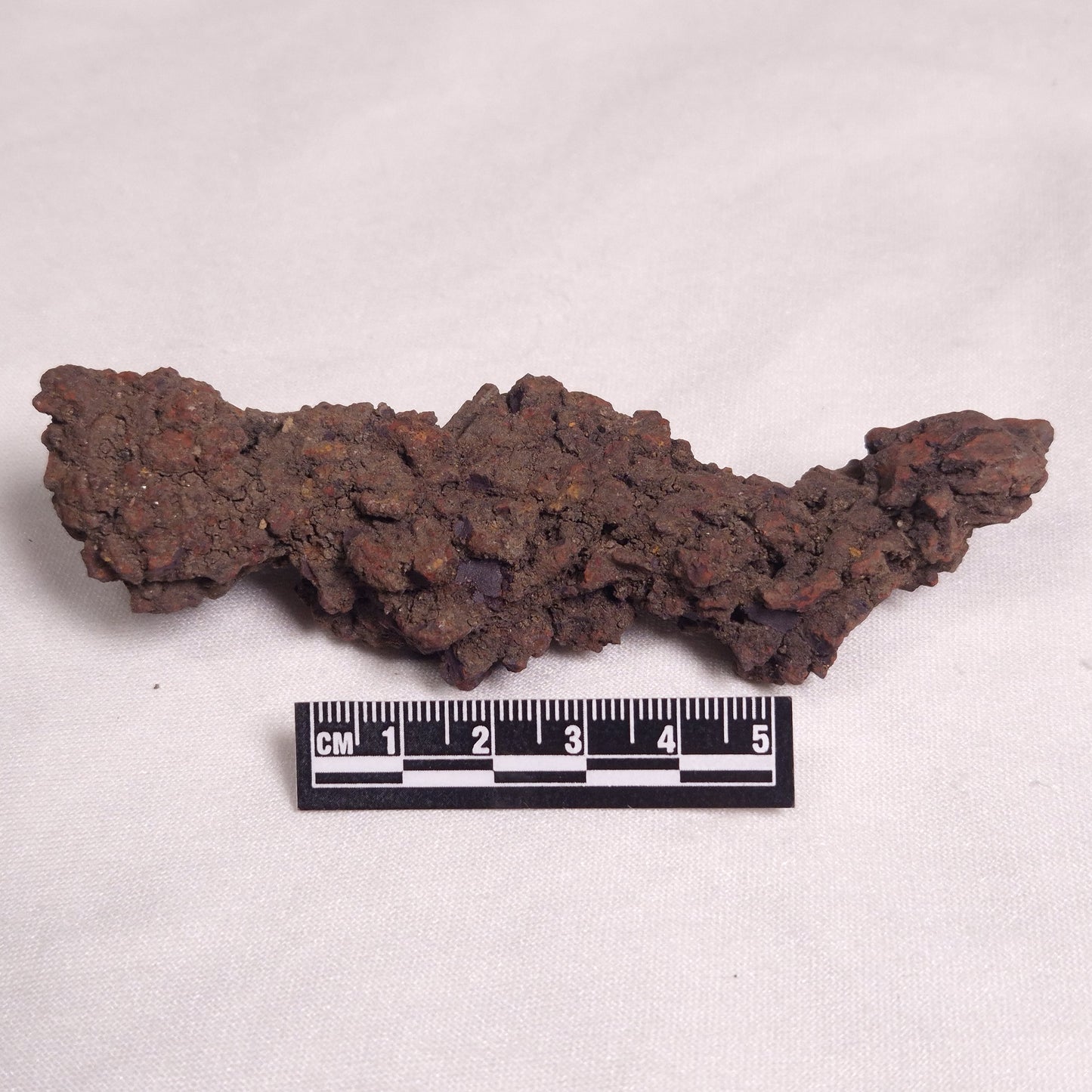 COPROLITE (FOSSILISED POO), Eocene, Madagascar XCF004