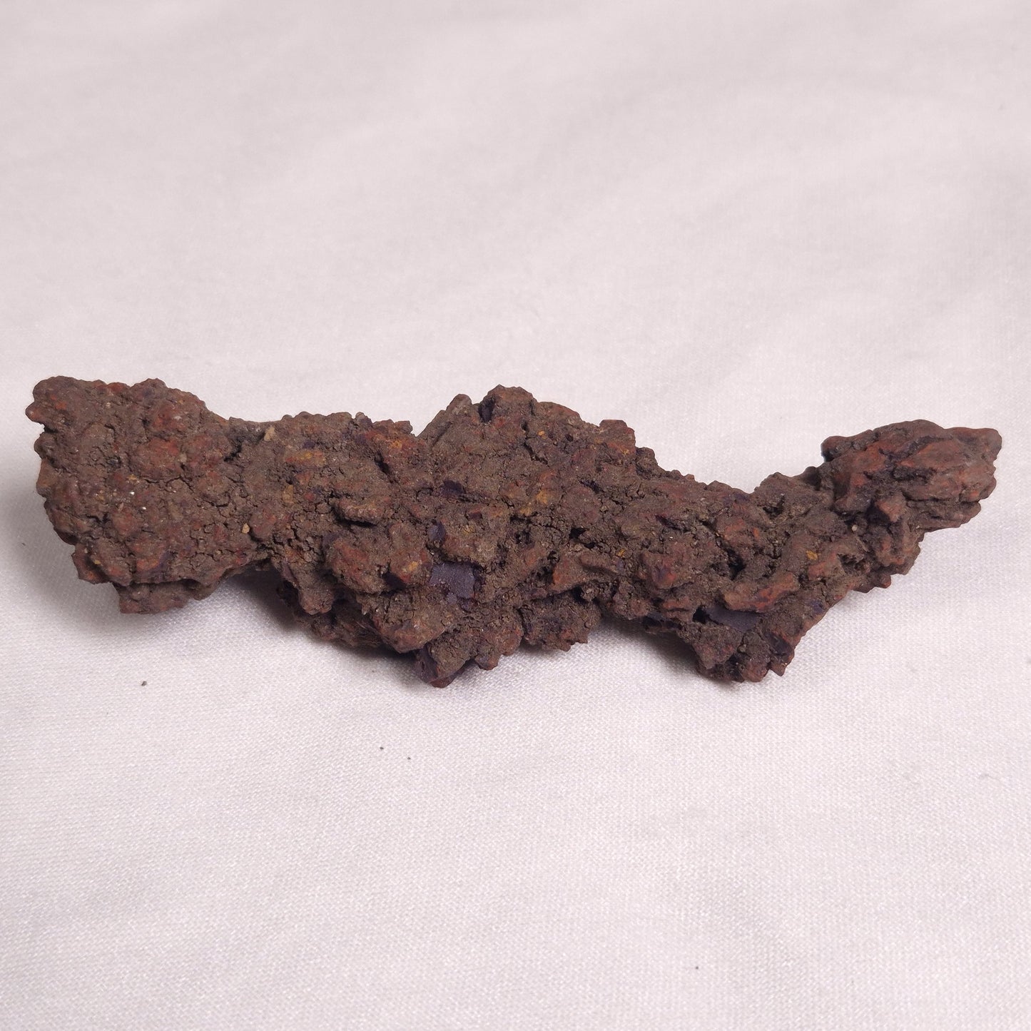 COPROLITE (FOSSILISED POO), Eocene, Madagascar XCF004