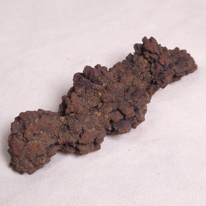 COPROLITE (FOSSILISED POO), Eocene, Madagascar XCF004