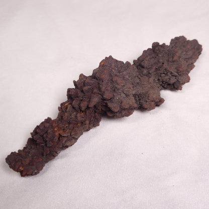 COPROLITE (FOSSILISED POO), Eocene, Madagascar XCF007