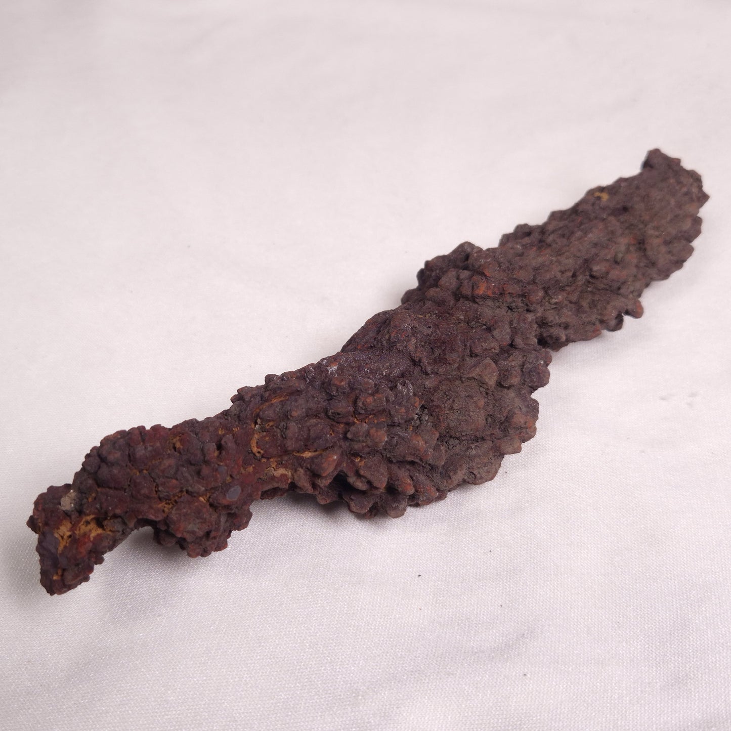 COPROLITE (FOSSILISED POO), Eocene, Madagascar XCF007