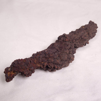 COPROLITE (FOSSILISED POO), Eocene, Madagascar XCF007
