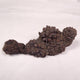 Coprolite (fossilised poo)