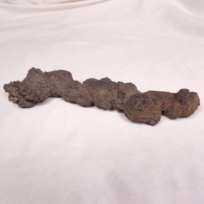 COPROLITE (FOSSILISED POO), Eocene, Madagascar XCF010