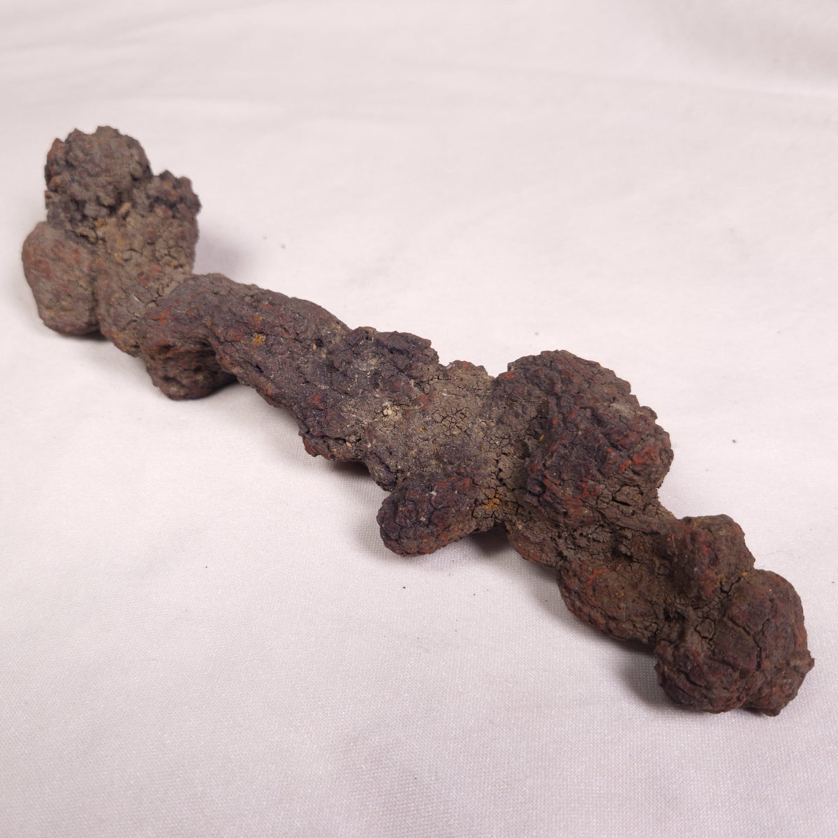 COPROLITE (FOSSILISED POO), Eocene, Madagascar XCF010 – Crystal World ...