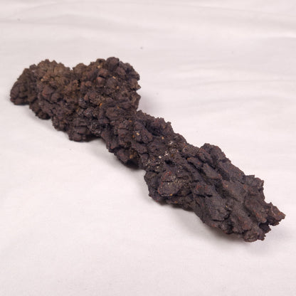 COPROLITE (FOSSILISED POO), Eocene, Madagascar XCF011
