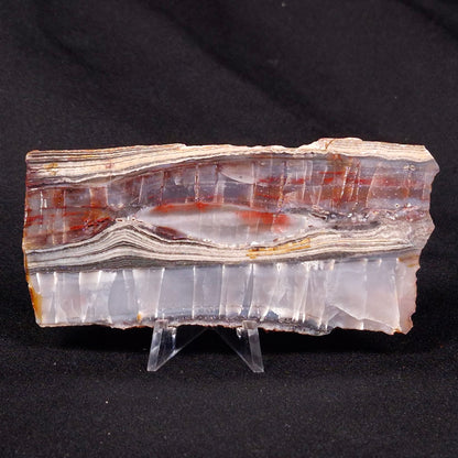 STROMATOLITE, Jerrinah Formation, Proterozoic, Australia ZJF027