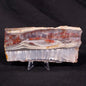 STROMATOLITE, Jerrinah Formation, Proterozoic, Australia ZJF027