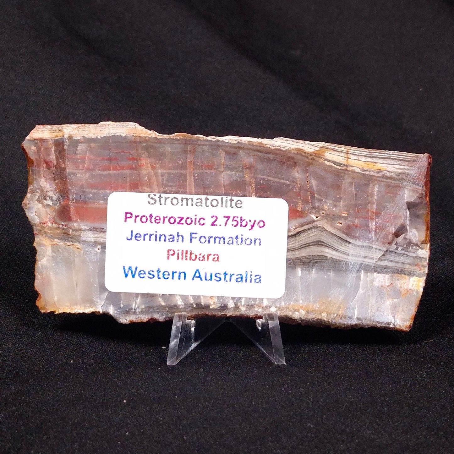 STROMATOLITE, Jerrinah Formation, Proterozoic, Australia ZJF027