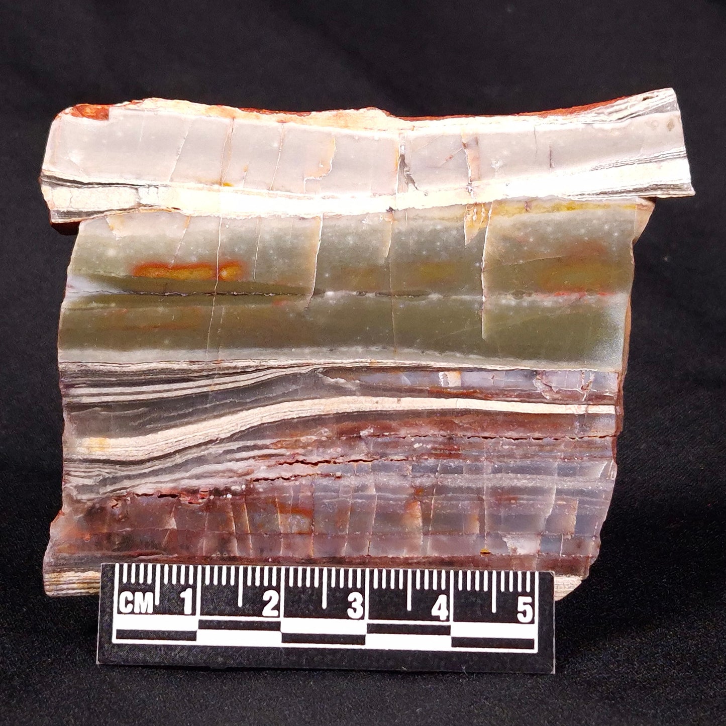 STROMATOLITE, Jerrinah Formation, Proterozoic, Australia ZJF028