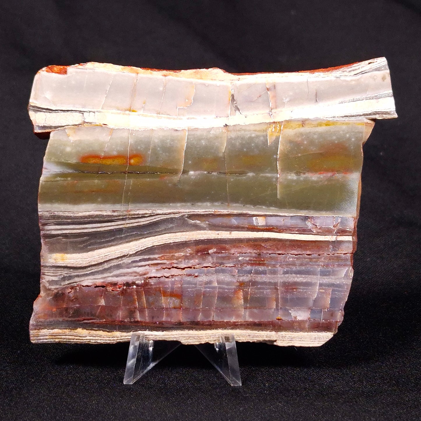 STROMATOLITE, Jerrinah Formation, Proterozoic, Australia ZJF028