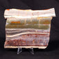 STROMATOLITE, Jerrinah Formation, Proterozoic, Australia ZJF028
