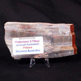 STROMATOLITE, Jerrinah Formation, Proterozoic, Australia ZJF030