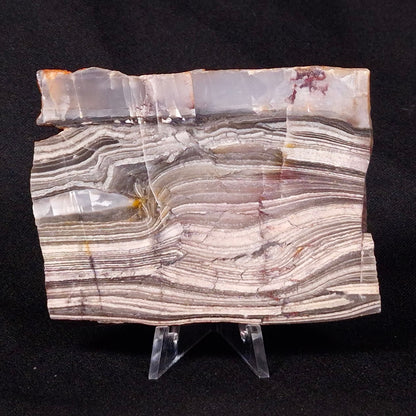 STROMATOLITE, Jerrinah Formation, Proterozoic, Australia ZJF031