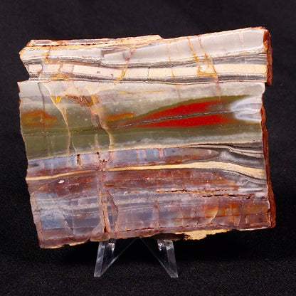 STROMATOLITE, Jerrinah Formation, Proterozoic, Australia ZJF032