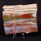 STROMATOLITE, Jerrinah Formation, Proterozoic, Australia ZJF032