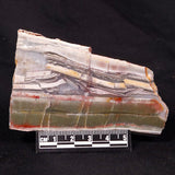 STROMATOLITE, Jerrinah Formation, Proterozoic, Australia ZJF034