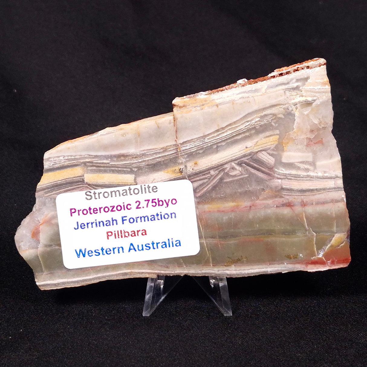 STROMATOLITE, Jerrinah Formation, Proterozoic, Australia ZJF034