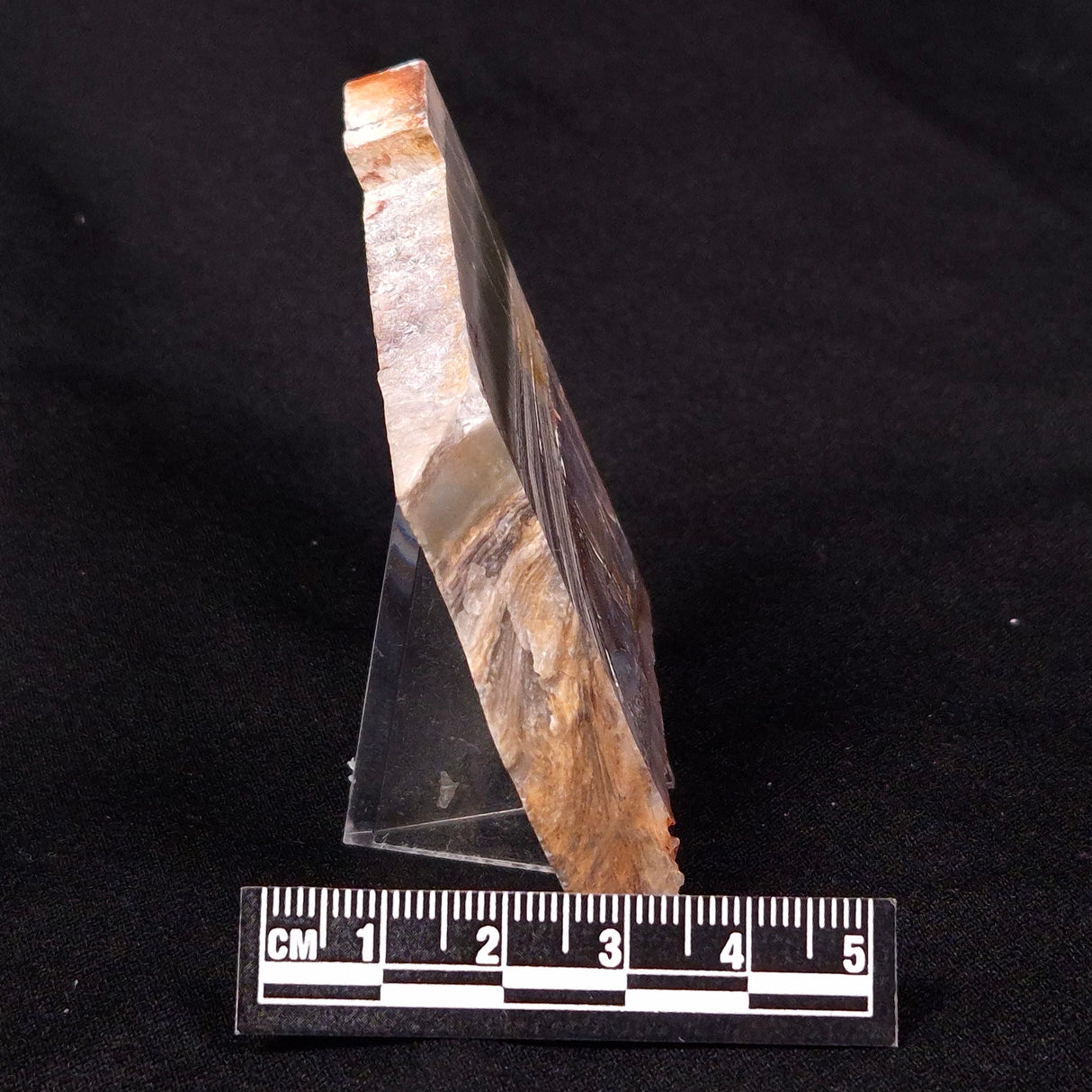 STROMATOLITE, Jerrinah Formation, Proterozoic, Australia ZJF035