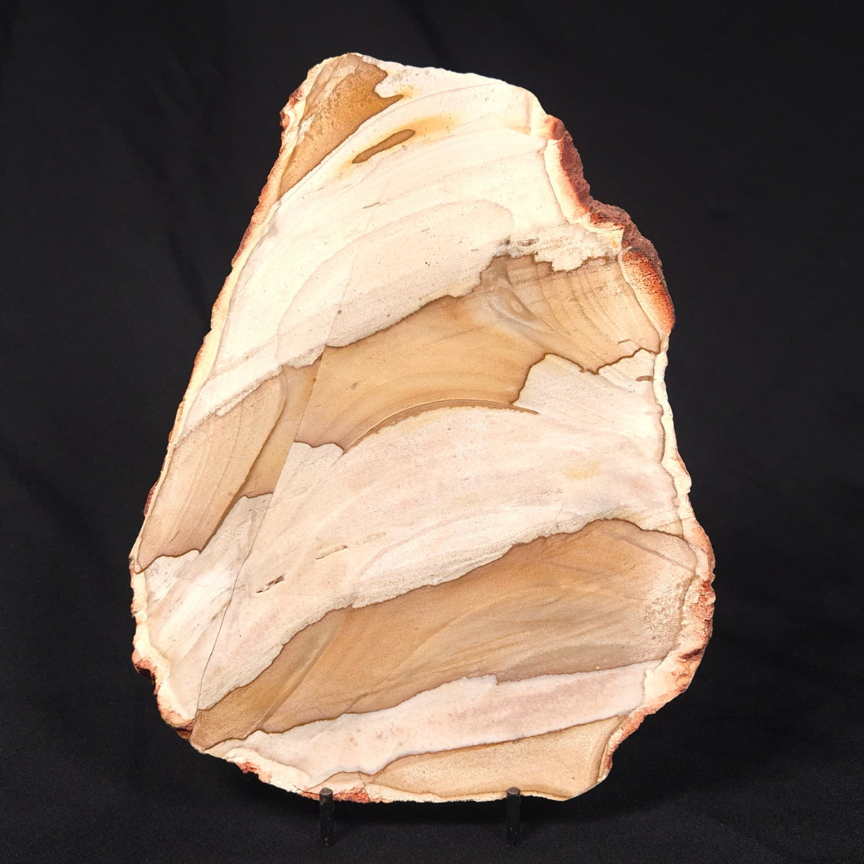 CAMOOWEAL DOLOSTONE CHERT MICROBIAL, Middle Cambrian, Australia ZCD009