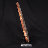 CAMOOWEAL DOLOSTONE CHERT MICROBIAL, Middle Cambrian, Australia ZCD009