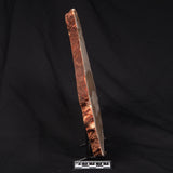 CAMOOWEAL DOLOSTONE CHERT MICROBIAL, Middle Cambrian, Australia ZCD010