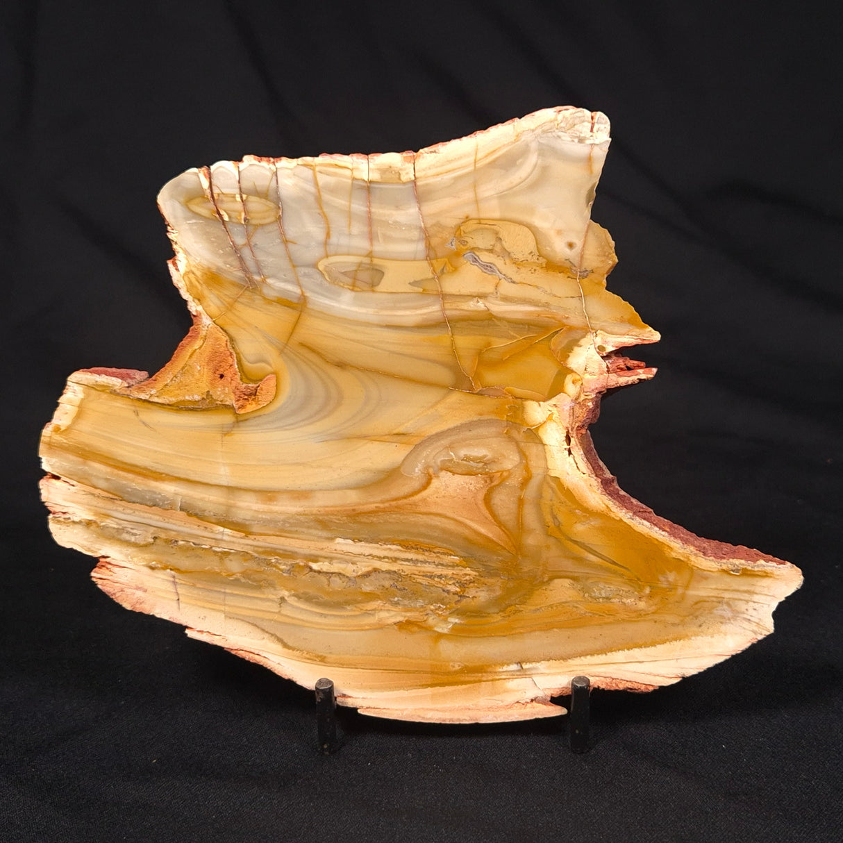 CAMOOWEAL DOLOSTONE CHERT MICROBIAL, Middle Cambrian, Australia ZCD013