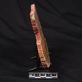 CAMOOWEAL DOLOSTONE CHERT MICROBIAL, Middle Cambrian, Australia ZCD013