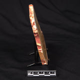 CAMOOWEAL DOLOSTONE CHERT MICROBIAL, Middle Cambrian, Australia ZCD014