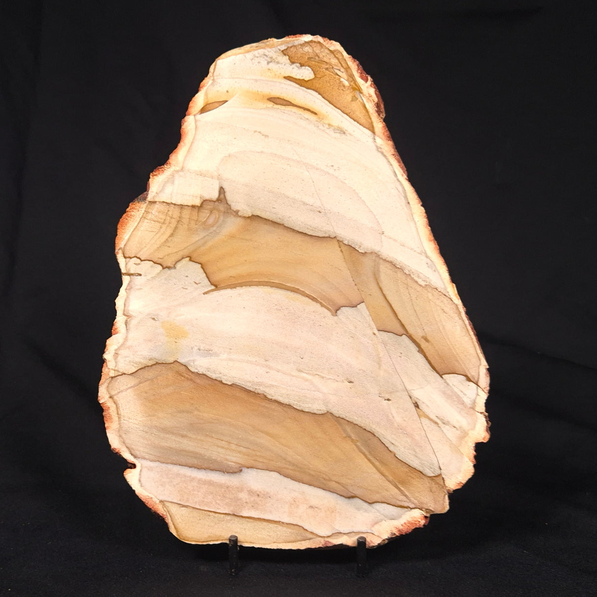 CAMOOWEAL DOLOSTONE CHERT MICROBIAL, Middle Cambrian, Australia ZCD015