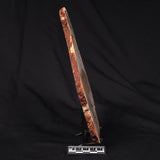 CAMOOWEAL DOLOSTONE CHERT MICROBIAL, Middle Cambrian, Australia ZCD017