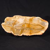 CAMOOWEAL DOLOSTONE CHERT MICROBIAL, Middle Cambrian, Australia ZCD019