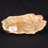 CAMOOWEAL DOLOSTONE CHERT MICROBIAL, Middle Cambrian, Australia ZCD019