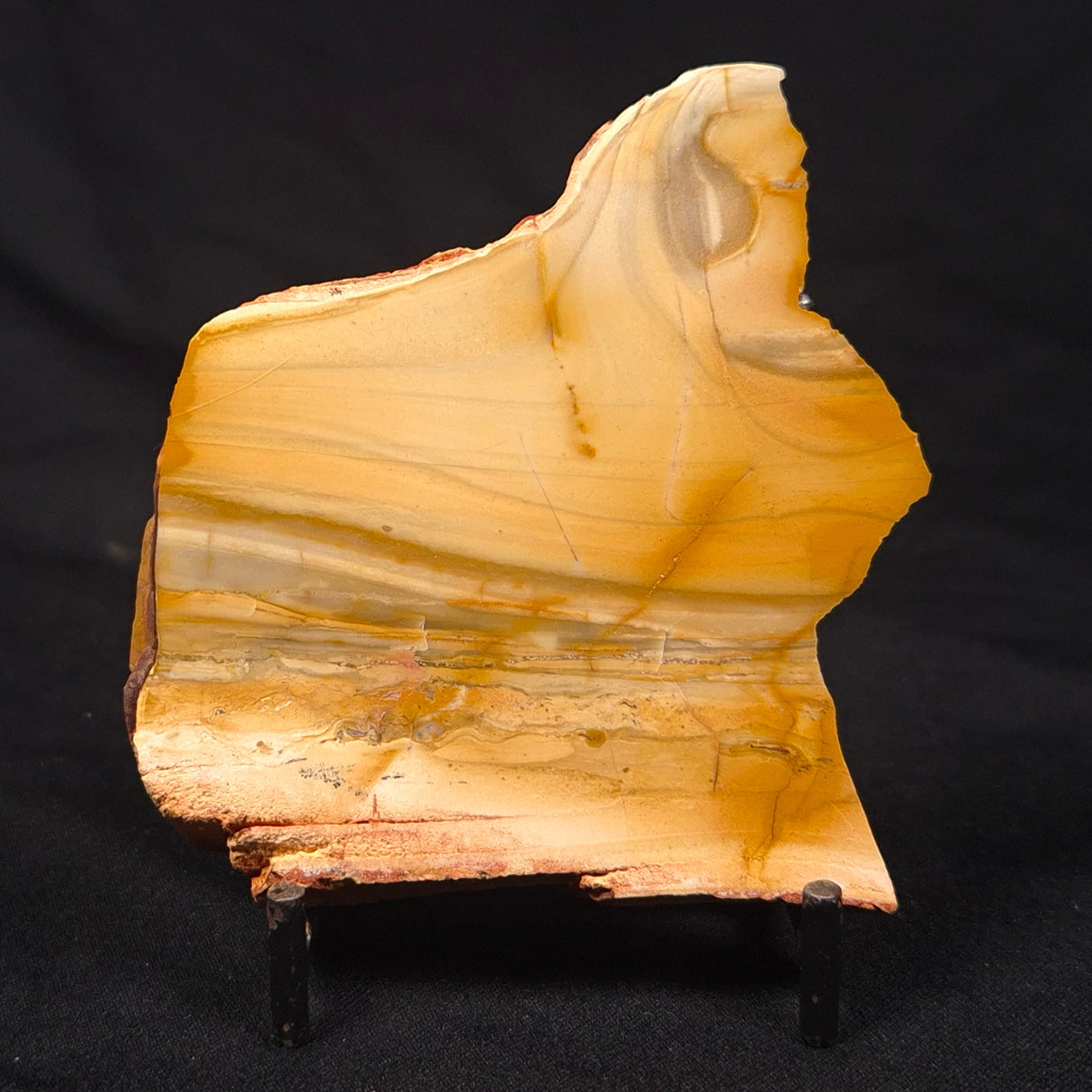 CAMOOWEAL DOLOSTONE CHERT MICROBIAL, Middle Cambrian, Australia ZCD020